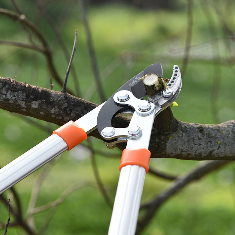 Длинные ножницы для изгороди, нескользящий ручной инструмент с храповым механизмом для обрезки веток деревьев