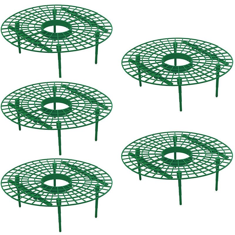Il telaio della pianta evita la putrefazione migliora l'allevamento del raccolto supporto rimovibile per la coltivazione della fragola cerchio degli attrezzi facile da installare in plastica