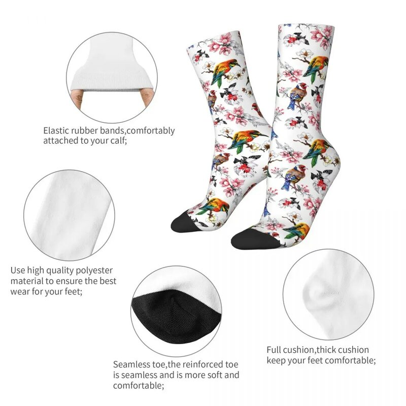 Chaussettes vintage en coton pour hommes, beaux oiseaux, rangées florales de Rotterdam, accessoires Harajuku, chaussettes tubes moyennes, petits cadeaux, mode