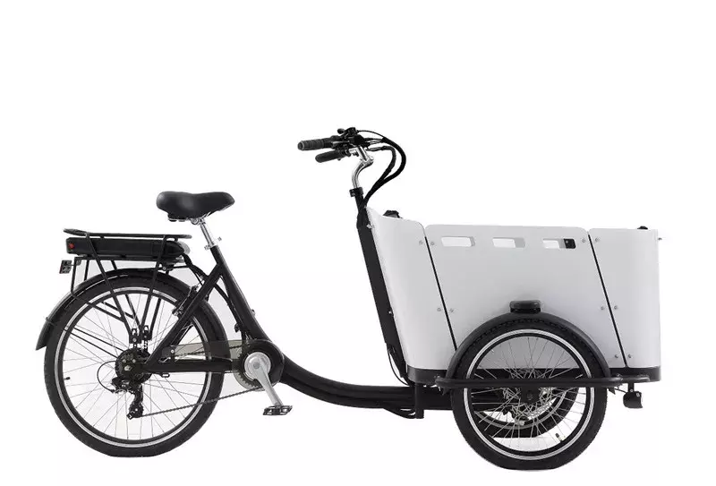 Электрический трехколесный грузовой велосипед с педалью и задним мотором 250 Вт для переноски детей или домашних животных