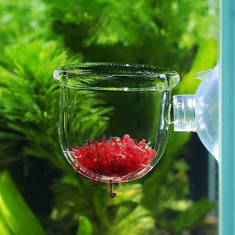 Aquarium Plant Pot Glazen Cilinder Beker Met Uitlopers Voor Cultiveren Waterplant Zaden Koraalmos Aquarium Decoratie Accessoire