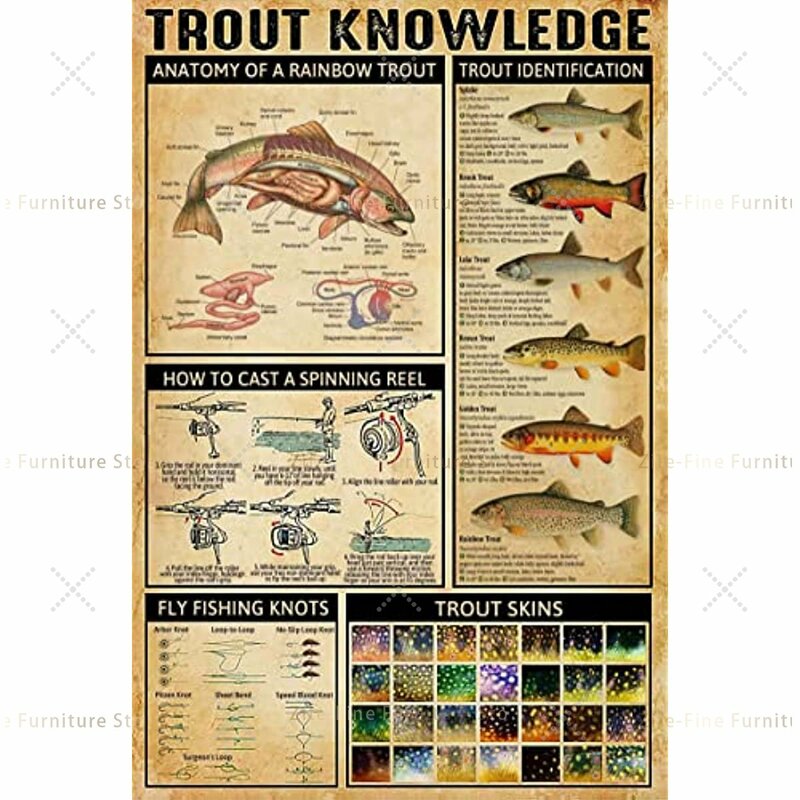 Trout Knowledge-cartel de Metal Anatomy Of A Rainbow Trout Retro, letrero de estaño, comedor, sala de estar, decoración de baño, regalo