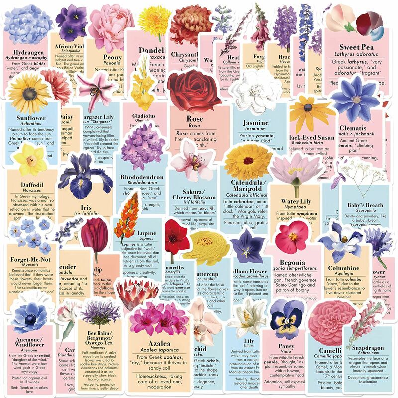 สติกเกอร์กราฟฟิตีชุดดอกไม้ภาษาดอกไม้50ชิ้นเหมาะสำหรับกระเป๋าเคสมือถือแล็ปท็อปสติ๊กเกอร์ตกแต่งของเล่น DIY