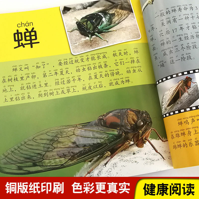 Echte insekten. Vögel enzyklopädie enzyklopädie farbe karte phonetische version tagebuch kinder bild buch