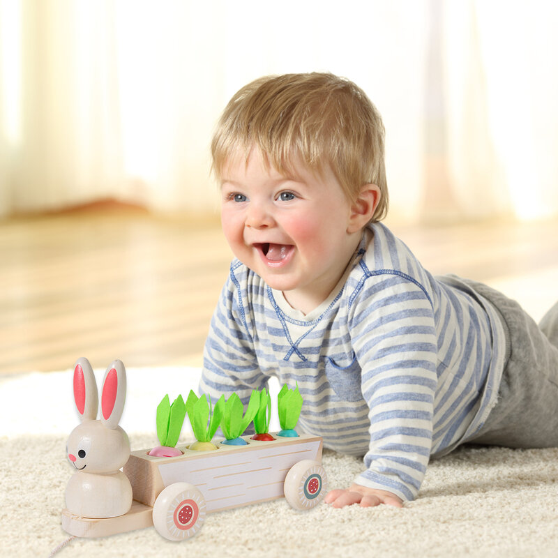 Juguetes Montessori para niños de 1 año, cosecha de zanahoria, regalo de Desarrollo Infantil, forma de agarre fácil, juguete Montessori para 2