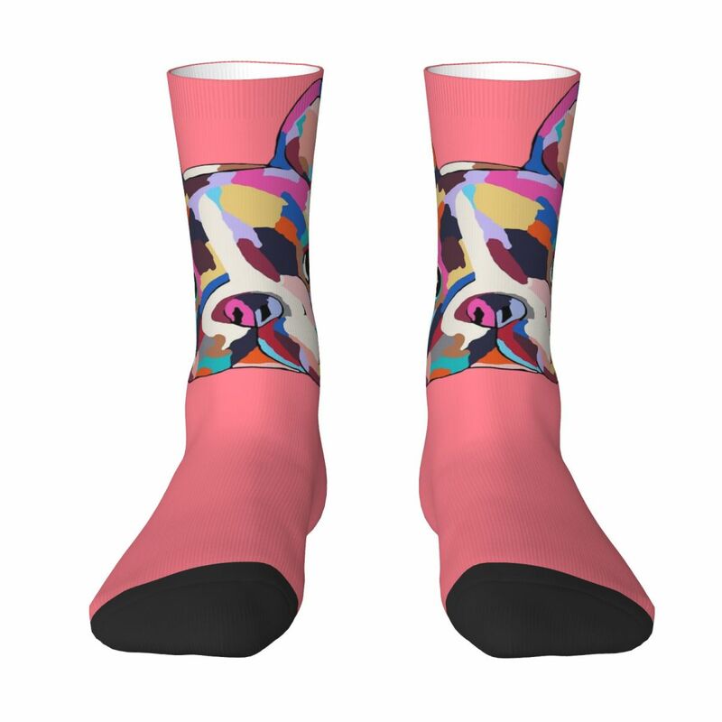 Nonbrand-calcetines de Bulldog para hombre y mujer, medias con patrón de mascotas bonitas, regalo de vestir para todo el año