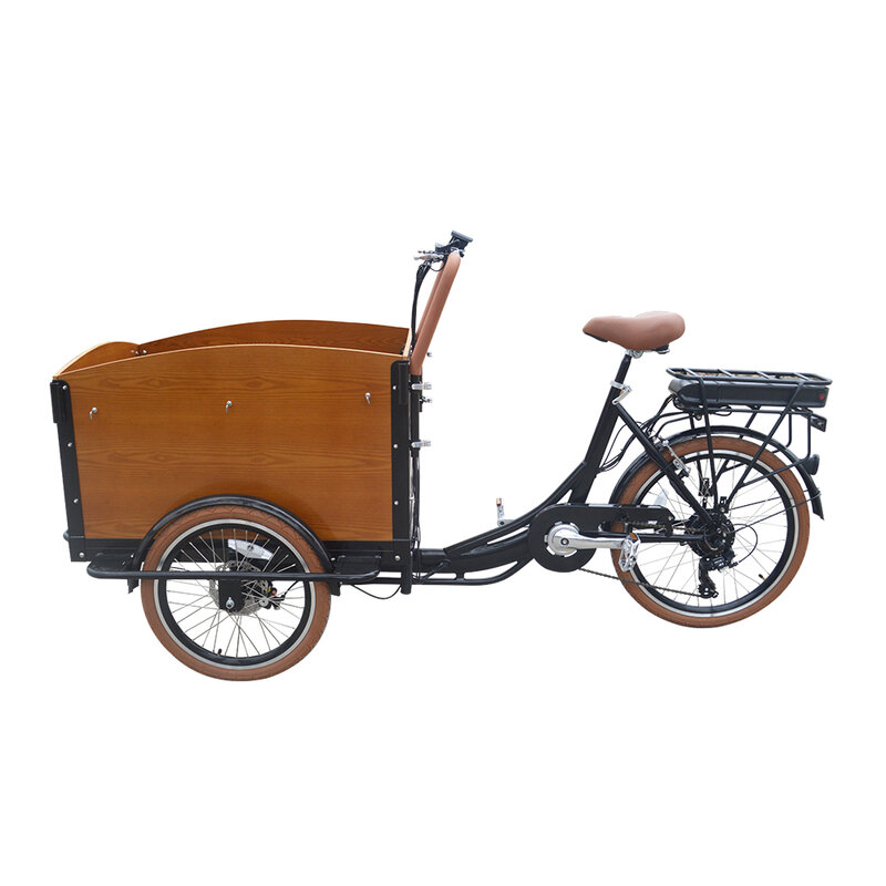 Bez cła importowego przednie foteliki dziecięce dla dzieci modne elektryczne rodzinne rowery ładunkowe z osłoną przeciwdeszczową