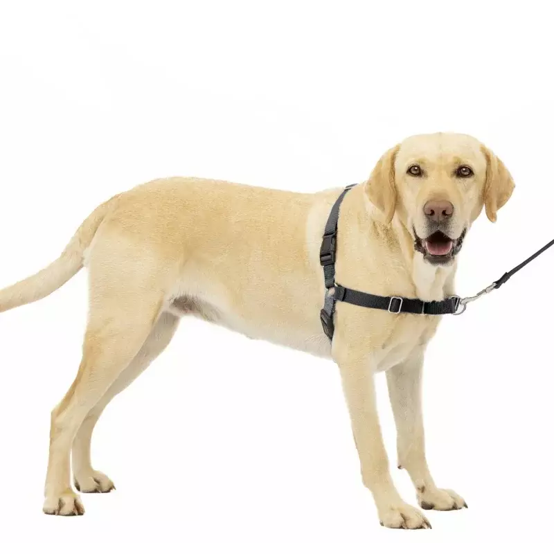 PetSafe Easy Walk No-Pull Leash Training Dog Harness, Large, Charcoal Grey