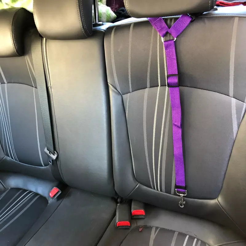 Einfarbiger Zwei-in-Eins-Sicherheits gurt für Haustier autos Nylon-Leine Rücksitz-Sicherheits gurt verstellbares Hunde geschirr halsband Haustier zubehör