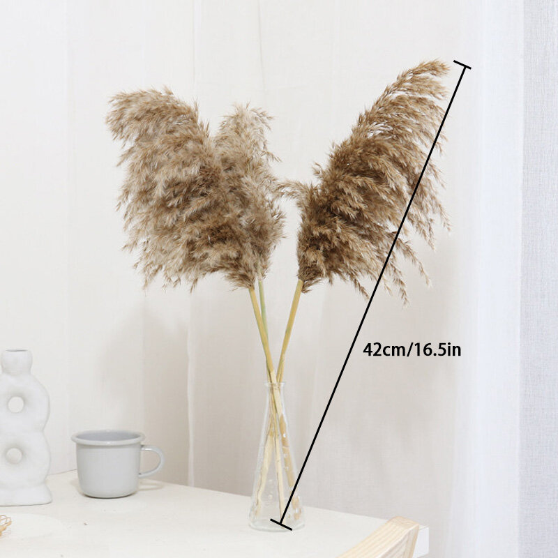 10Pcs Dried Natural Pampas Grass Branch Real Reed Office Bookshelves Living Room Balcony Garden Decoration Photography Props