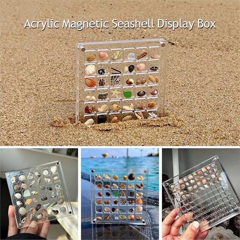 Caja de exhibición de conchas marinas magnéticas, caja de almacenamiento de conchas marinas de acrílico transparente, caja de exhibición (36 rejillas)