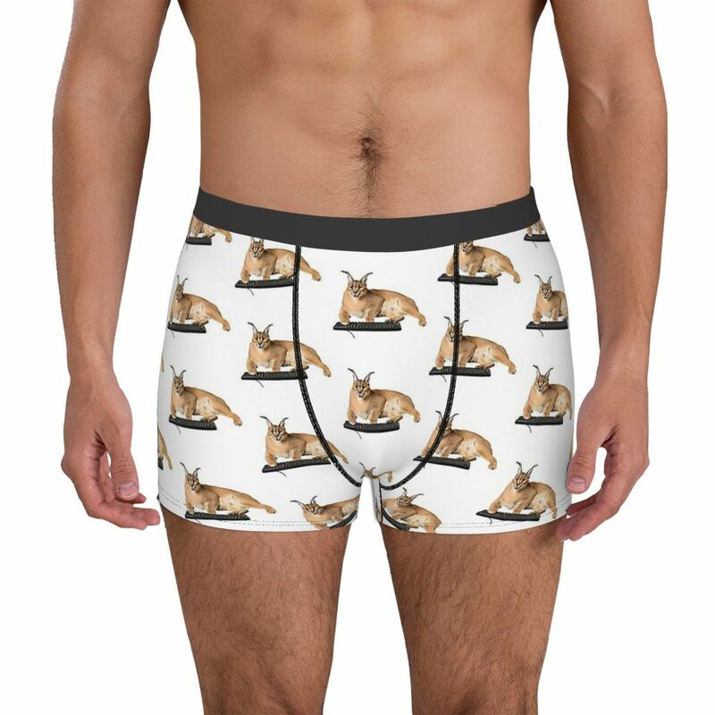 BIG Keyboard Big Floppa Caracal Caracal Cat Underpants Homme Panties Man Underwear Print Shorts Boxer Briefs