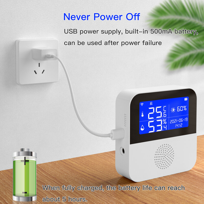 LCD Display Tuya WIFI Temperature Humidity Sensor For Smart Home or Plant Growth High Precison With Water Temperature Line