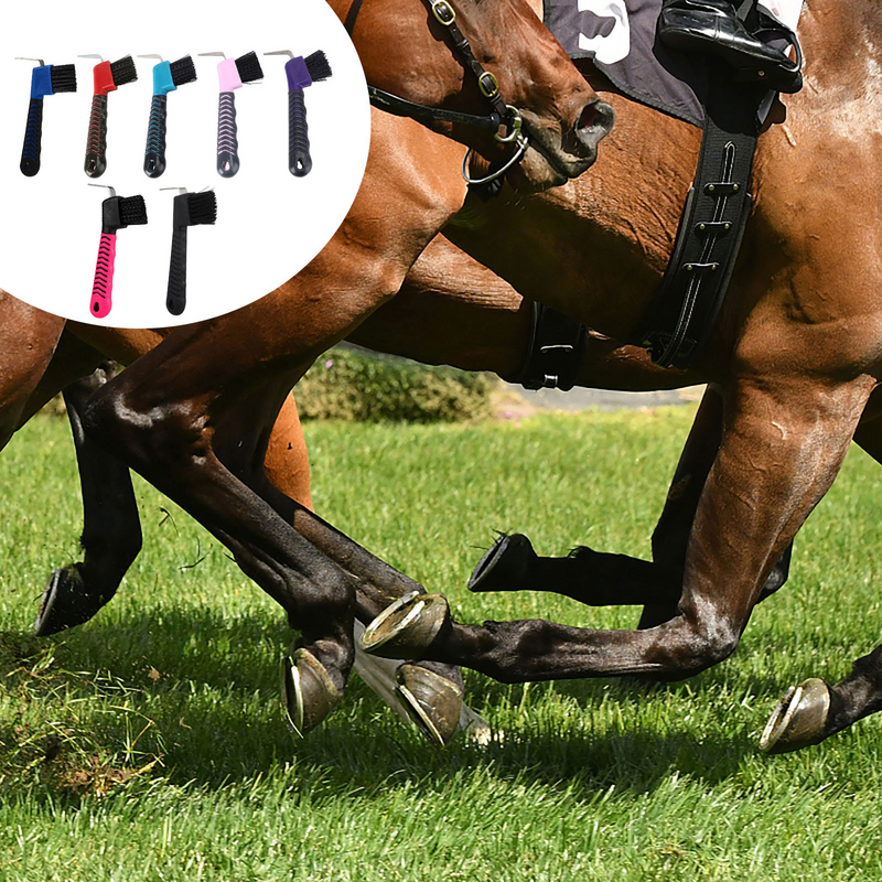 Alat penghapus rambut, sikat kuda Hoof Picker kuda alat perawatan kuda sikat perawatan warna acak kuda