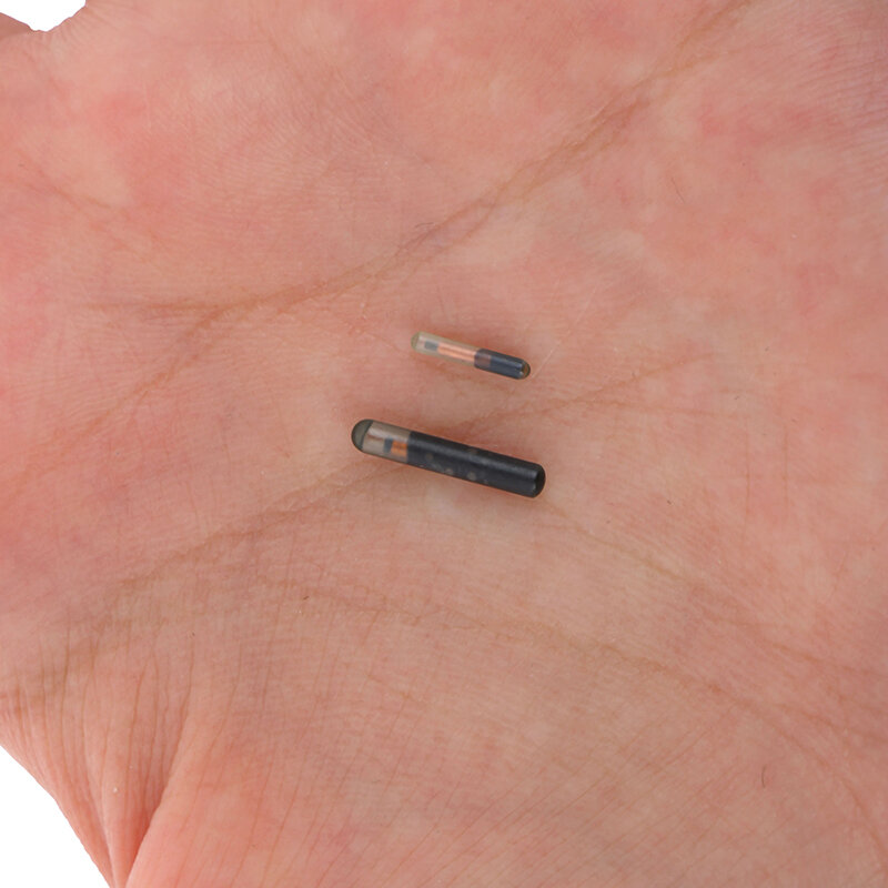 Chip de inyección subcutánea importado Pet, tubo de vidrio RFID, etiqueta de baja frecuencia Implantable