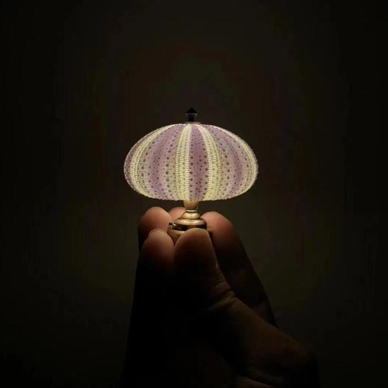 DIY Seeigel Nachtlicht-Seeigel Nacht lampe lustige Strand themen orientierte Nachtlicht für Desktop-Ornament m7q7