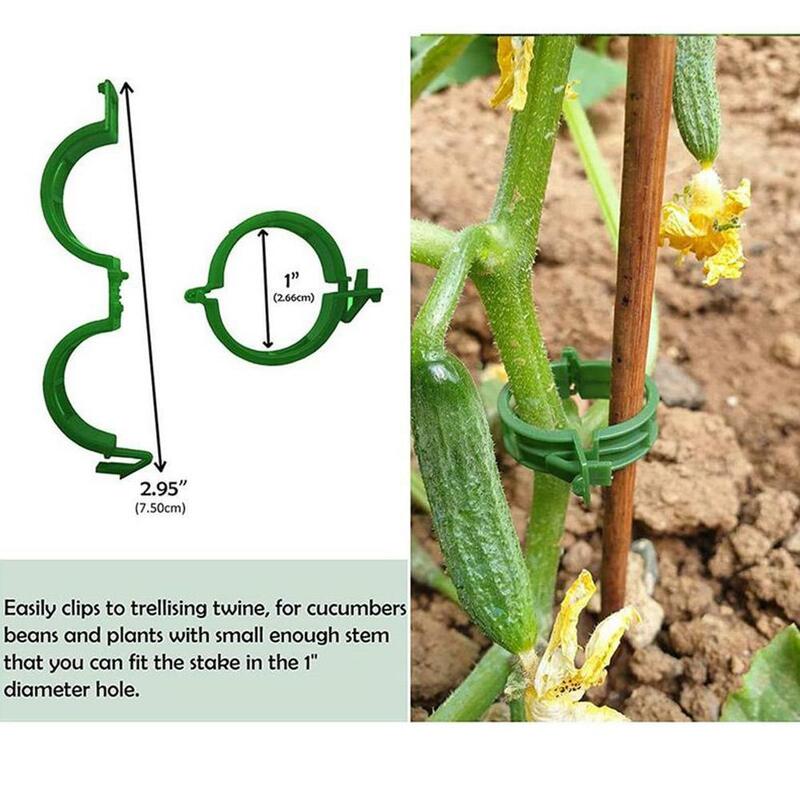 Clip di supporto per piante in plastica riutilizzabili giardino verdura viti di pomodoro spago verticale supporto per clip fisse strumenti di fissaggio per innesto