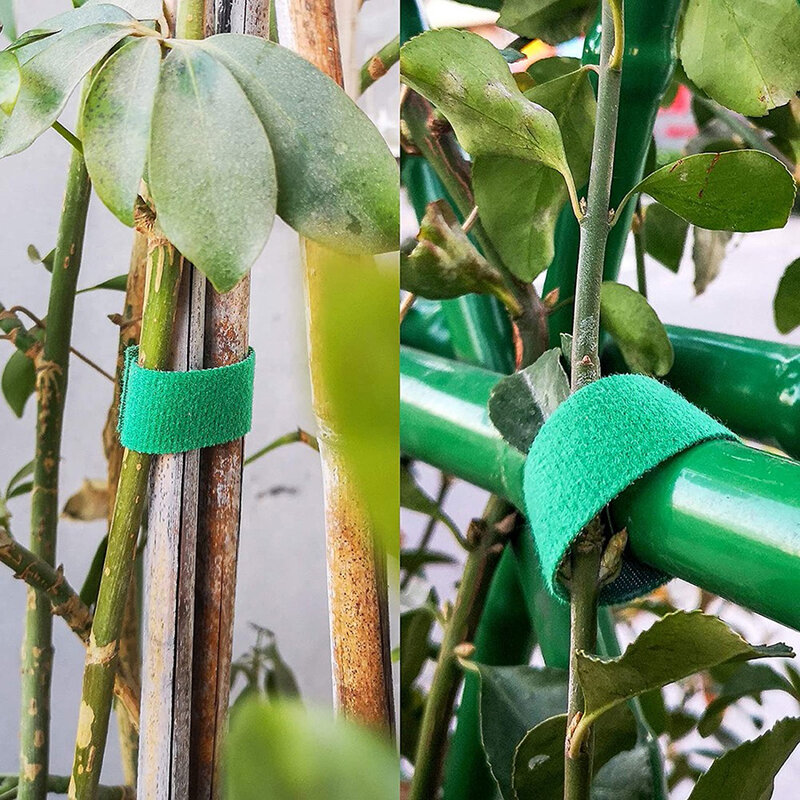 7 kolorów sznurki ogrodowe krawaty roślin nylonowych bandaż ogród hak pętli trzciny bambusowe Wrap wsparcie akcesoria ogrodowe