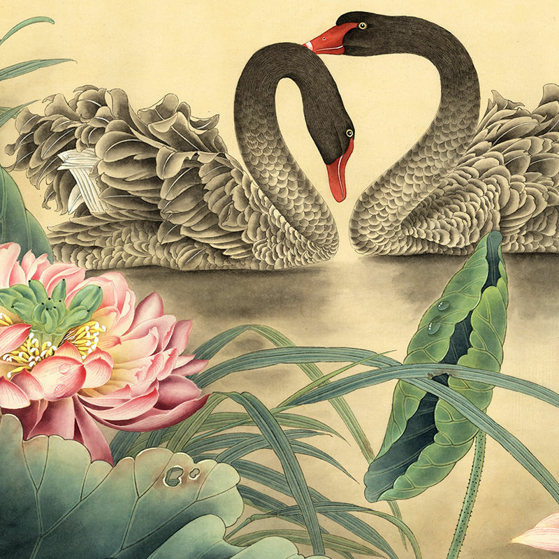 中国のswan絵画ライン下書き素晴らしい絵画プリントライン描画: 初心者コピー色練習ラインドラフト