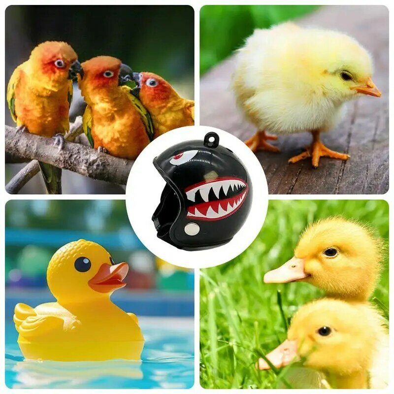 Sombrero de seguridad ajustable para mascotas, sombrero de protección para Mini gallina y pájaro, sombrero duro para mascotas pequeñas, pollitos, periquitos, loros, pájaros y patos