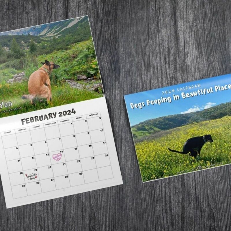 Calendario de pared de papel para el hogar, regalos de Año Nuevo, perros Pooping, planificación de tiempo divertido, decoración 2024