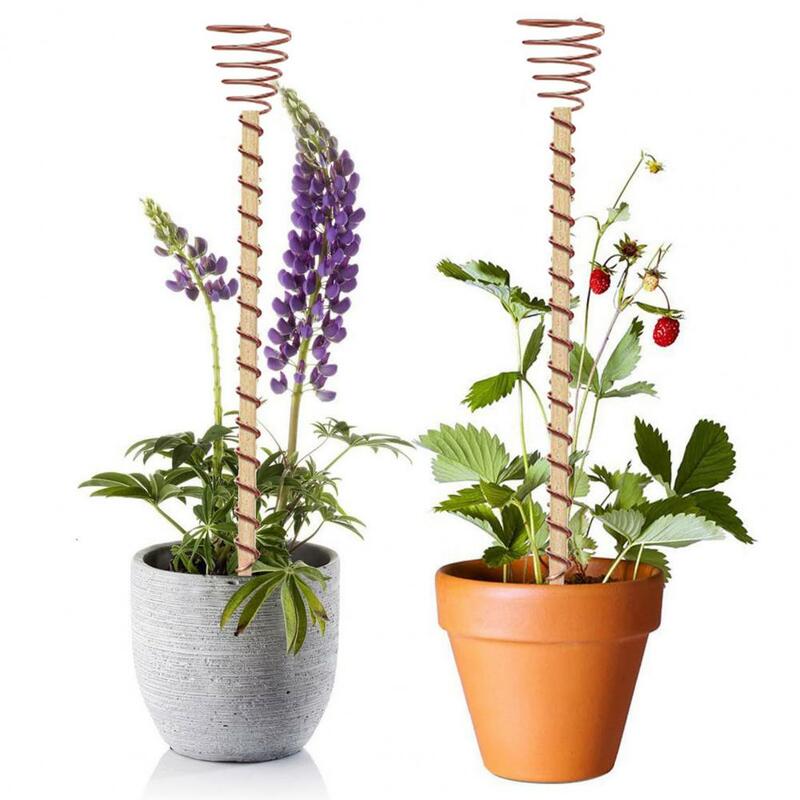 Plant Support Rack Multifunctional Plant Stake 12-inch Garden Stakes for Indoor Plants Easy to Install for Healthy