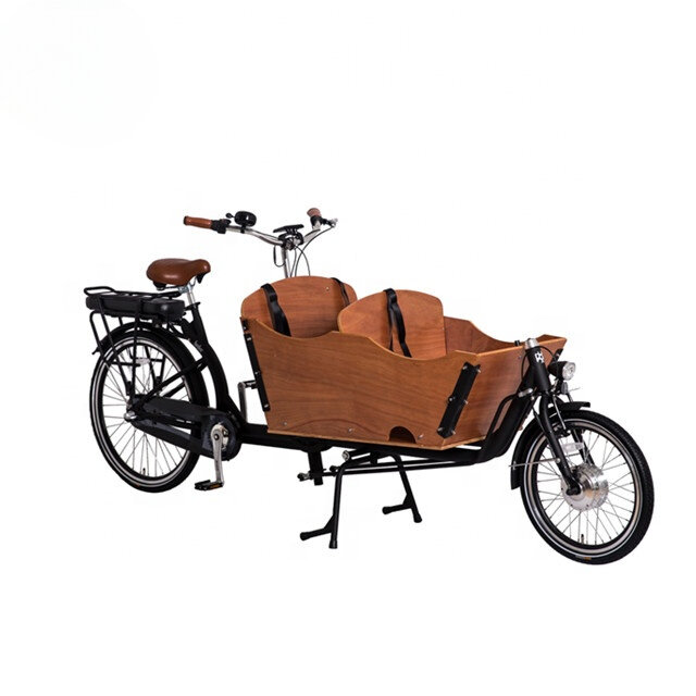 Bicicleta elétrica de 2 rodas para animais de estimação, bicicleta infantil, ciclo familiar, com 3 lugares