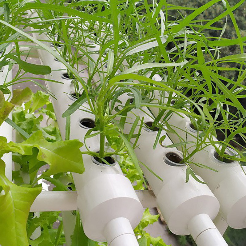 ระบบปลูกผักไฮโดรโปนิกส์อุปกรณ์ปลูกผักในร่มระเบียงต้นไม้ไฮโดรโปนิกส์อุปกรณ์ทำสวน