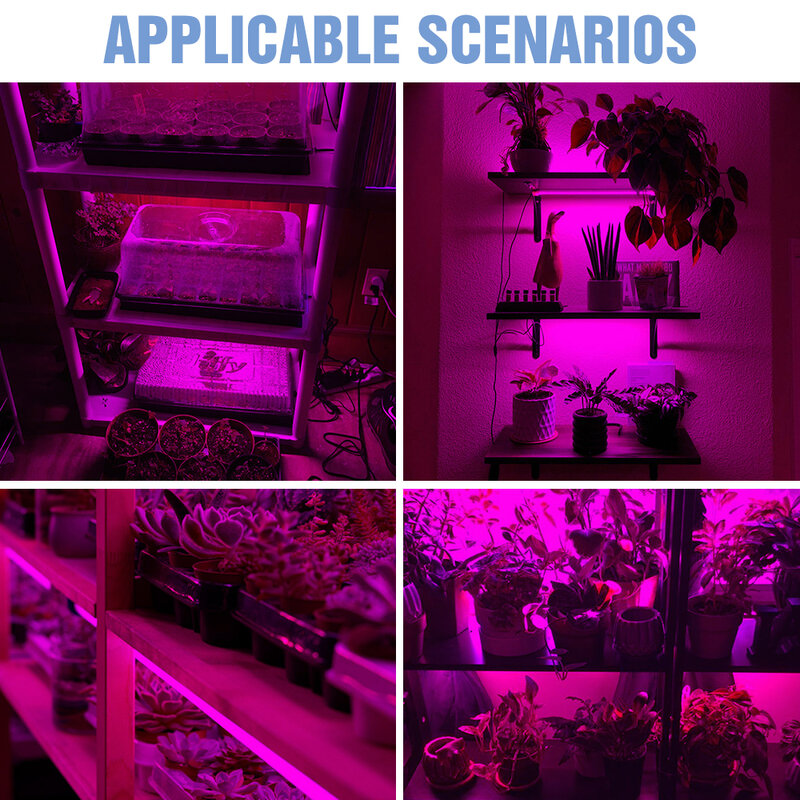 Lámpara Phyto USB de espectro completo, luz Led para crecimiento de plantas, tira de luz para invernadero, sistema de cultivo hidropónico