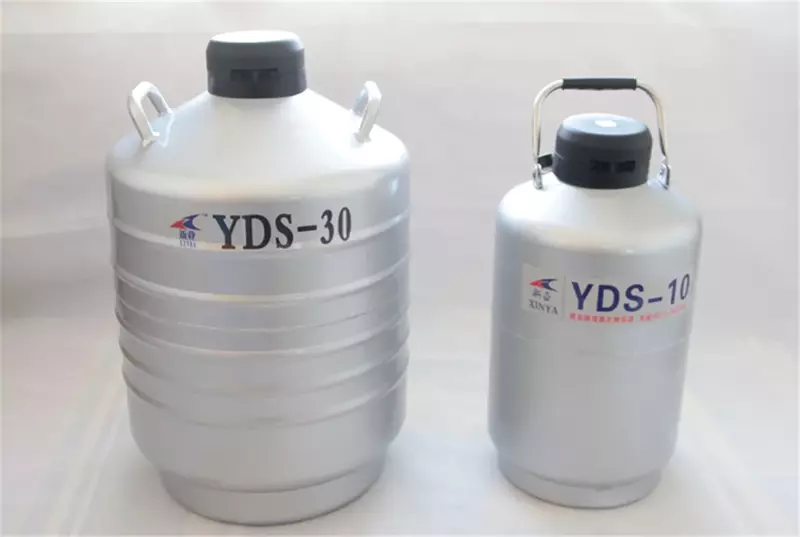 Conteneur d'azote liquide Dewar avec YDS-10 précieux d'azote liquide 3/6/10/15/30L
