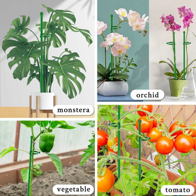 Support réglable réutilisable pour plante en pot, support de fleur de protection, support de piquet, fournitures d'outils en fibre pour bonsaï, 5 pièces