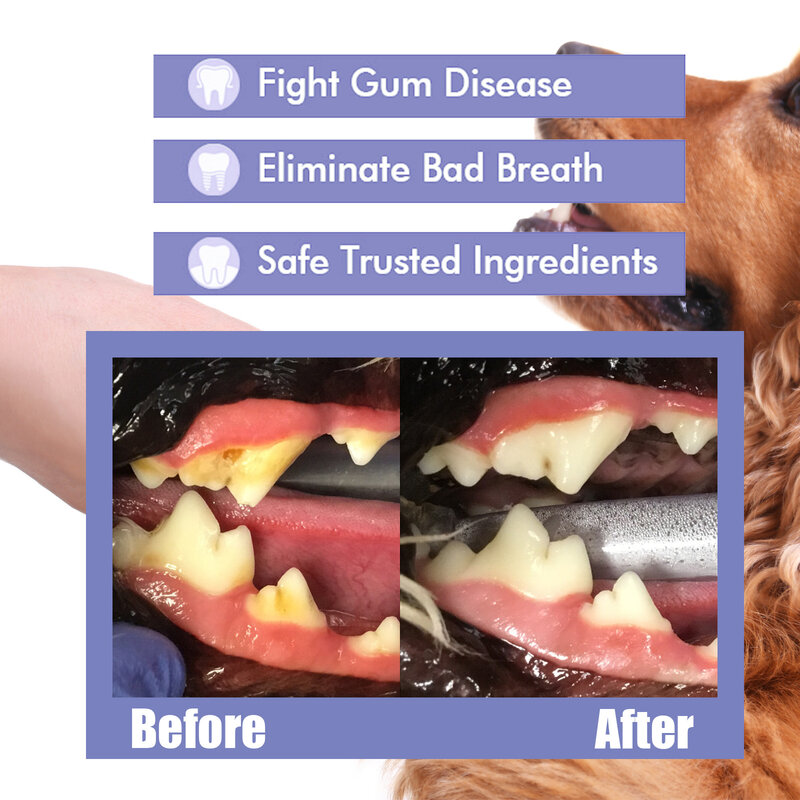 Spray pour soins bucco-dentaires pour chiens et chats, dépistolet ant pour animaux de compagnie, nettoyage buccal, dents fraîches, SAF, chiot, élimination du tartre