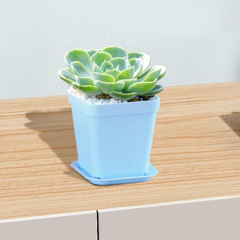 Square Seedling Pot Mini Succulent Multi-Color Plant Pots Colourful Small Square Pots Gardening Supplies For Small To Medium
