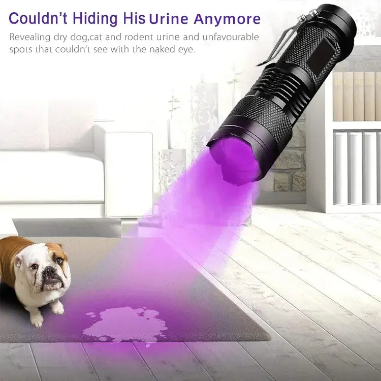 Linterna UV portátil, luz negra de 395-400nm, linterna ultravioleta con zoom, Detector de manchas de orina de mascotas, agente fluorescente
