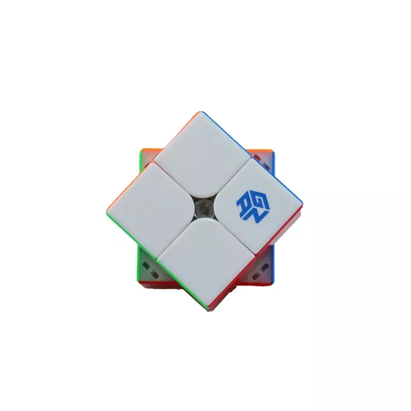 ガンプロ-磁気スピードキューブ,251 m pro 2x2,ペイントパズルゲーム,魔法の立方体,ガン251,プロフェッショナル,スティックレス