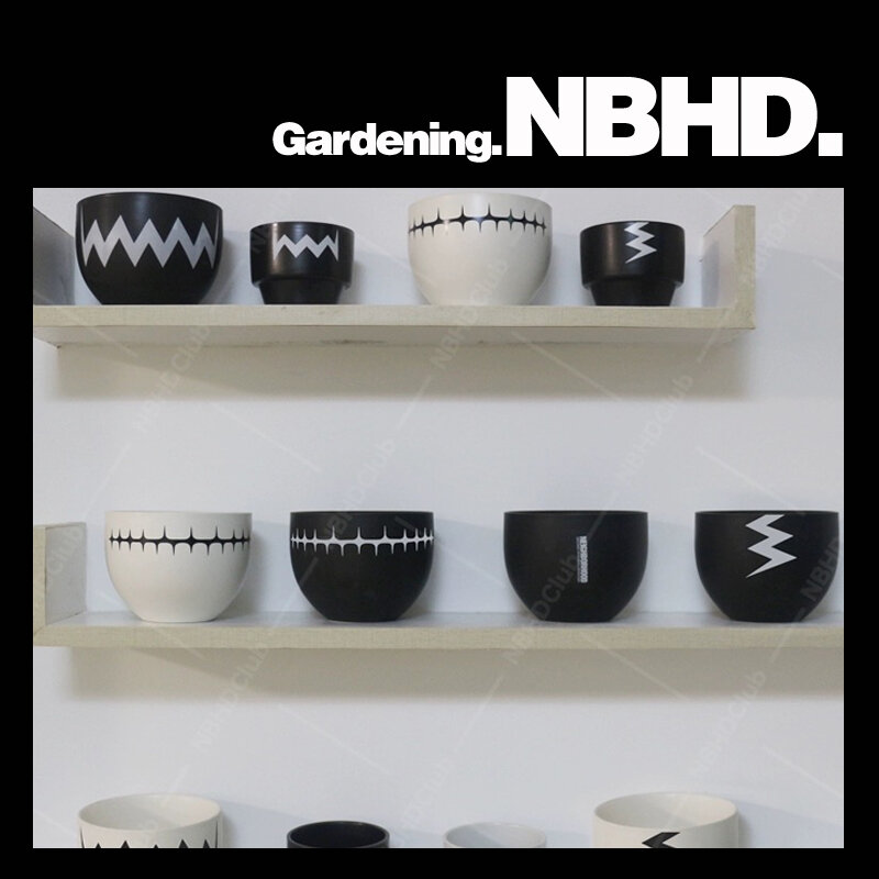 NBHD-أصيص نباتات عصاري بوعاء ، جذر ياباني عصري ، زهور SRS ، كرة قماش أغاف ، حبة ملك سوداء ، نبات أخضر عصاري