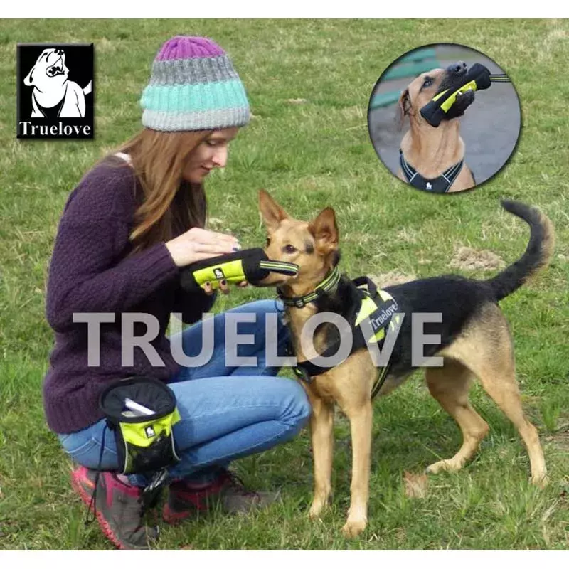 Truelove 피드 더미 개 애완 동물 치료 가방, 반사 개 훈련 운반 개 장난감 애완 동물 먹이 포켓 파우치 똥 가방 디스펜서