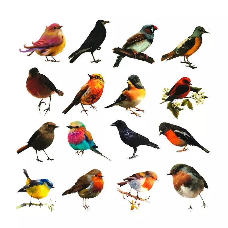 Etiqueta realista do pássaro do Robin da cor, Etiqueta bonito para a bagagem do brinquedo, portátil, iPad, copo, capacete, caixa do telefone, janela, atacado, 10 Pcs, 30 Pcs, 50Pcs