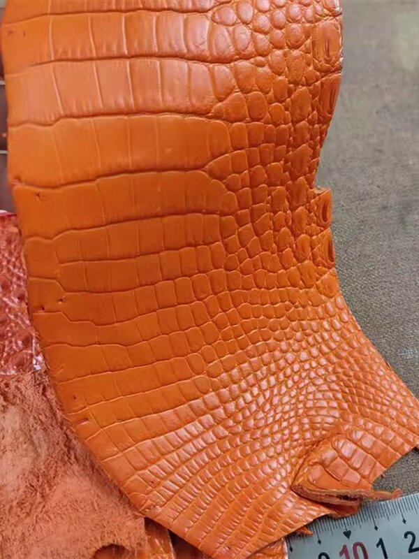 Aksesori bahan kulit buaya asli DIY untuk tas tempat kartu kain potongan kulit asli Kerajinan Kulit