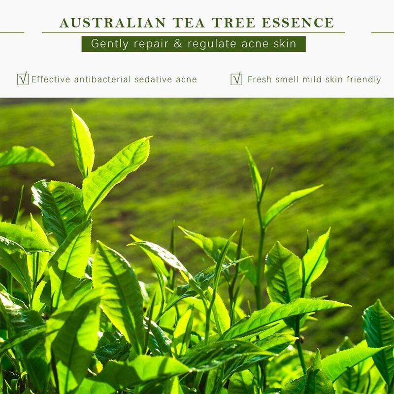 Tree Tea Facial Cleanser, Limpador Suave de Poros Não Irritante, Limpeza Facial e Barreira, Reparação Hidratante, M4N1, 300ml