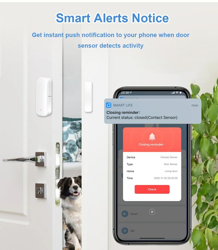 Tuya ZigBee Tür Fenster Sensor Tür offen/geschlossen Detektoren Sicherheits schutz App Fernbedienung über Alexa Google Home