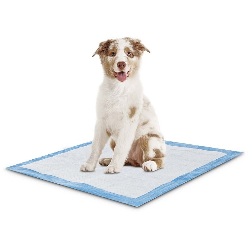 PetsWorld-Extremamente Forte Puppy Training Pads, 23x36, 50 Contagem