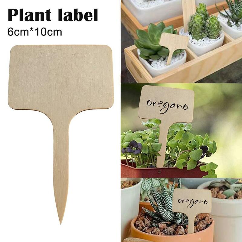 10/20/50Pcs Bamboo Plant Labels Markers T-Type Garden Plants Classification Sorting Vegetables Sign Tags Flowers Nursery Markers