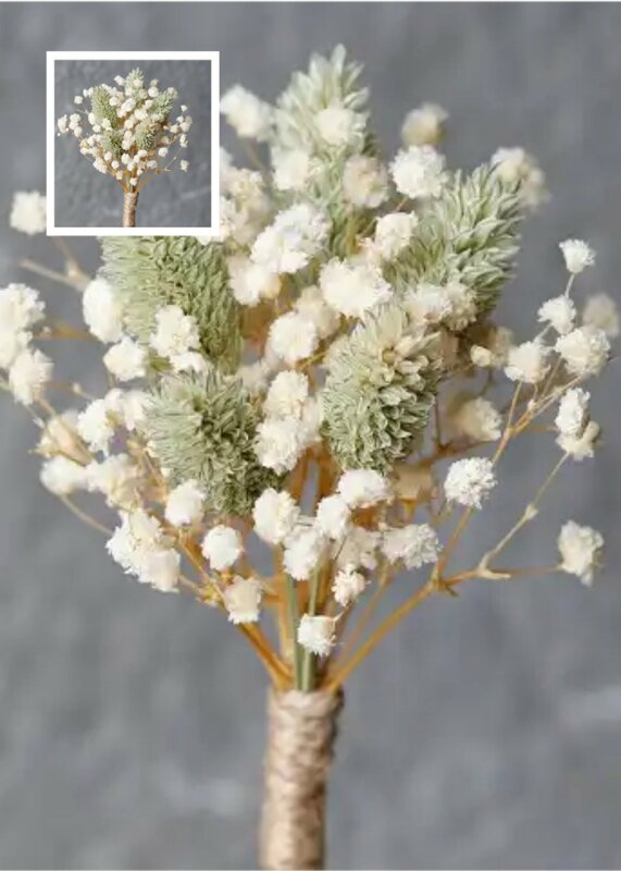 Piccola erba di pampa essiccata, fiore bohémien, matrimonio, Mini Set di fiori secchi, decorazione della tavola da pranzo, piccola