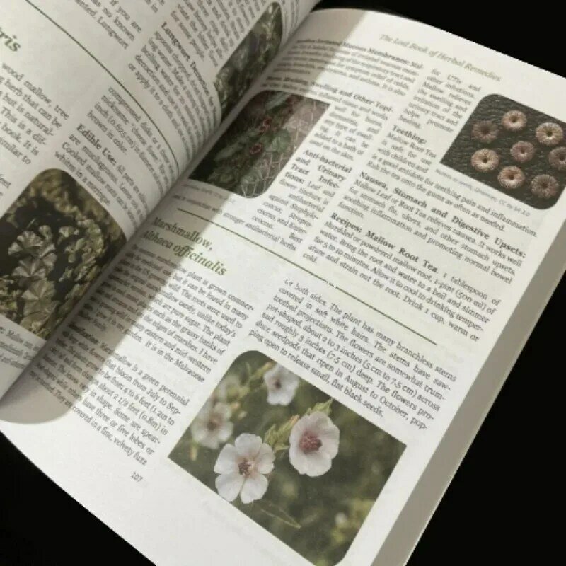 The Lost Book of Herbal Druse The penyembuhan kuat obat tanaman Paperback