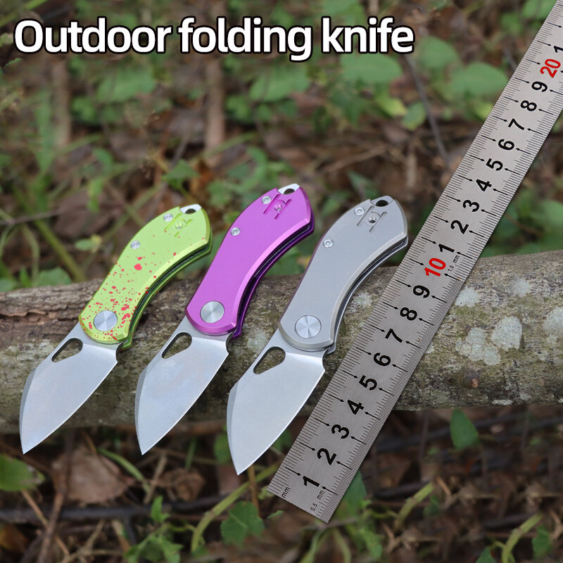 Faca ao ar livre Mini Keychain, portátil Paring Folding Knife, alta dureza, caça, camping, pesca, ferramenta de corte de frutas