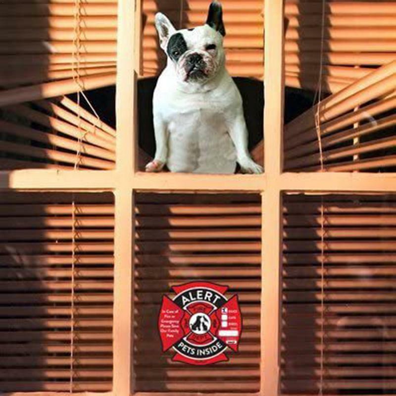 Внутренняя наклейка из ПЭТ, сохраняйте нашу работу, наклейки на окна, наклейки без клея для домашних животных, предупреждающая безопасность, противопожарная наклейка, устойчивая к УФ выцветанию
