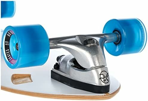 Skateboard with Carving Truck