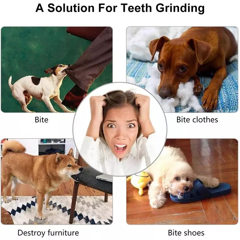 Giocattoli a sfera per cani per cani di piccola taglia elasticità interattiva cucciolo giocattolo da masticare pulizia dei denti gomma cibo palla giocattolo accessori per animali domestici
