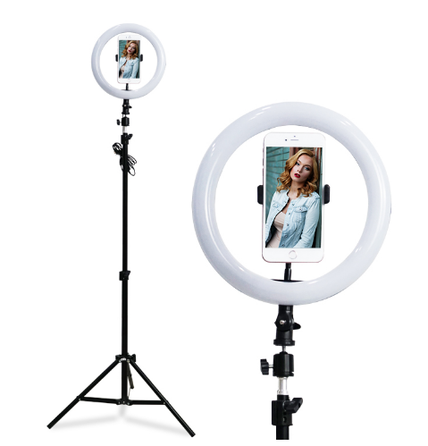 10 inch LED Ring Light with 2M Tripod Stand Cell Phone Holder for Live Stream Makeup YouTube Dimmable Beauty Ringlight